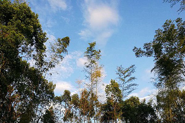 包河區生態環境分局：藍天不是等出來的，是干出來的