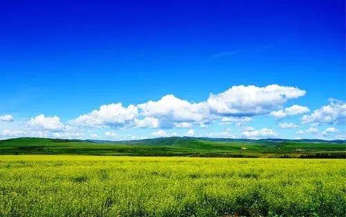 深港強化生態環境領域規則銜接與機制對接，攜手共赴美麗中國先行區之約 