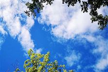 迎“藍”而上！直擊攀枝花、德陽、內江大氣攻堅現場