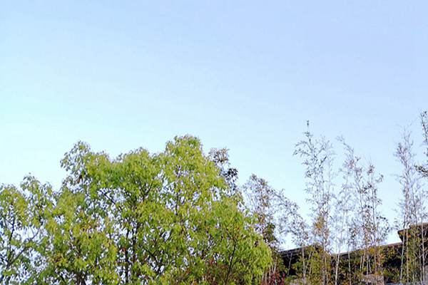 廢氣治理＋綠色運輸！安徽省第三生態環境保護督察組調研阜陽空氣質量提升攻堅 