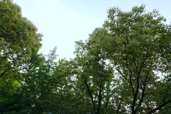 “統籌治理+精準監管” 汽開區打響臭氧污染防控戰